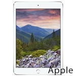 Ремонт Apple iPad mini 3 в Набережных Челнах